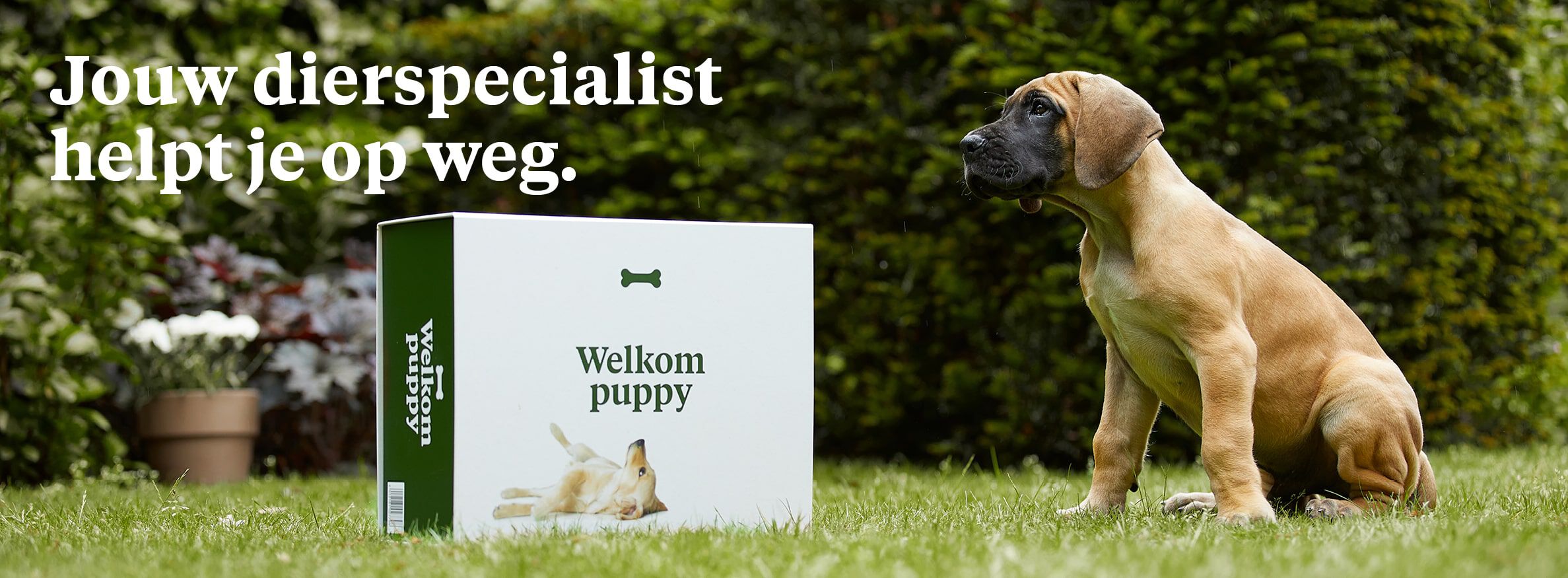 Gratis welkomstpakket voor je puppy. Gratis welkomstpakket voor je puppy.